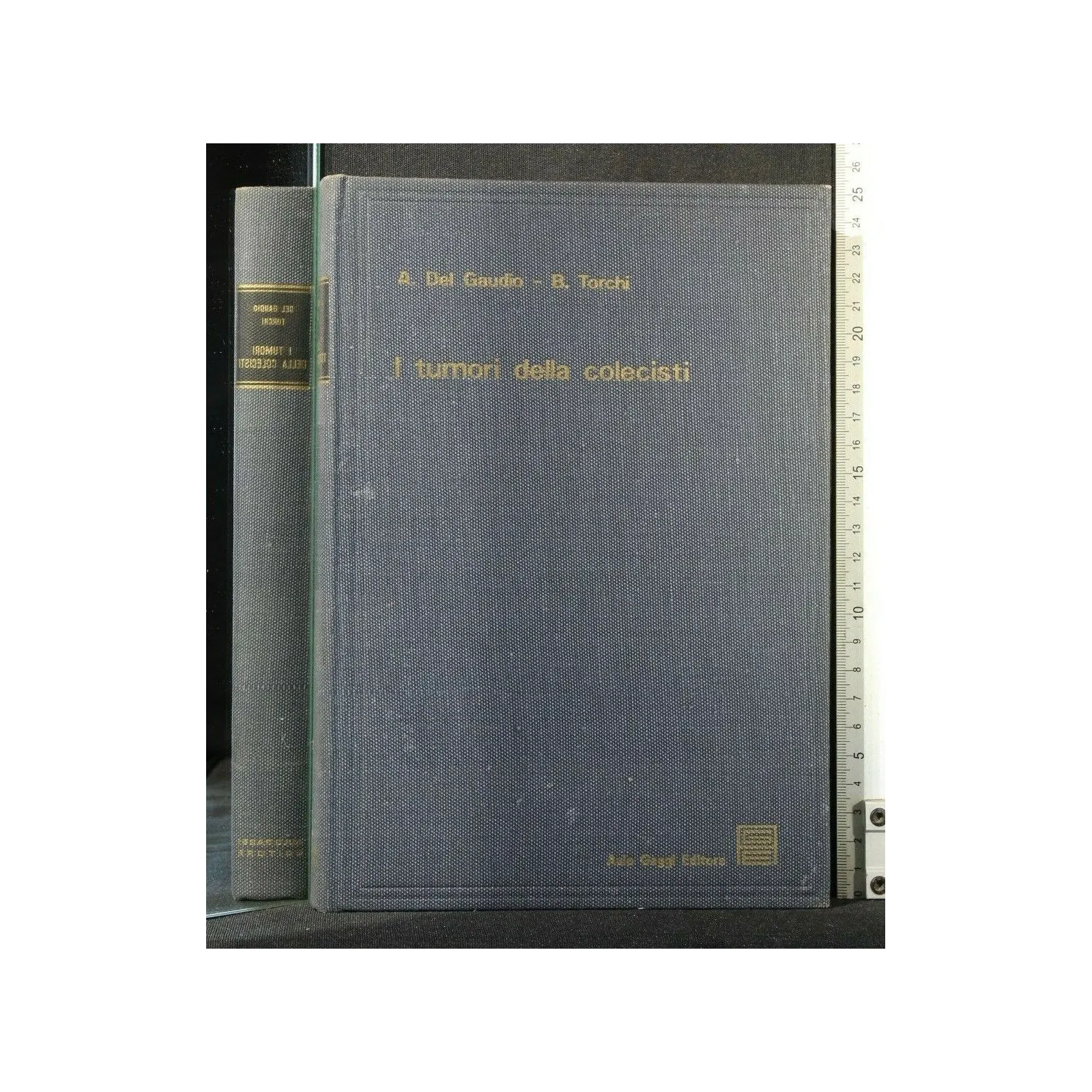 I TUMORI DELLA COLECISTI. DEL GAUDIO, TORCHI. GAGGI.