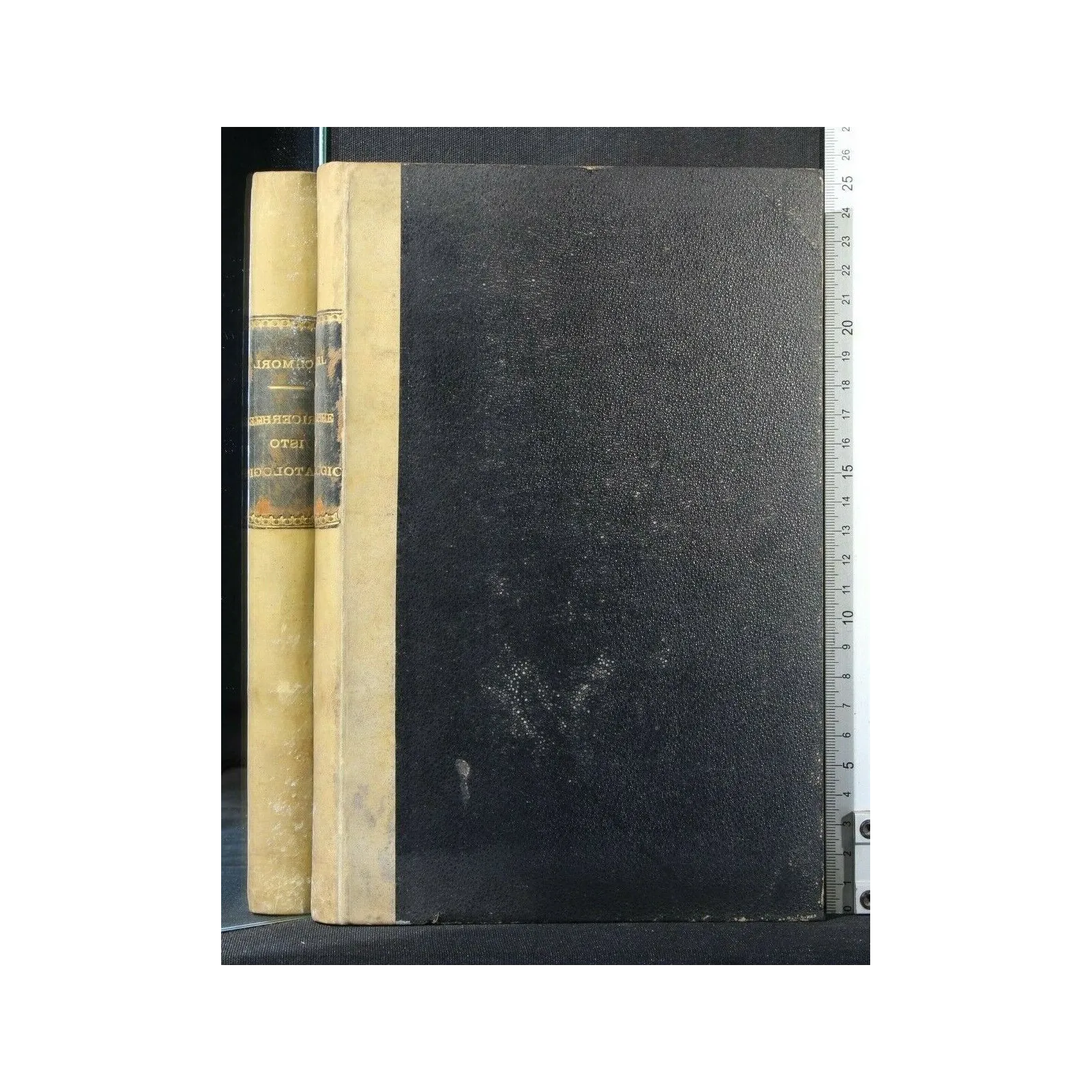 I METODI DI ESAME NELLE RICERCHE ISTO-PATOLOGICHE. SCHMORL.