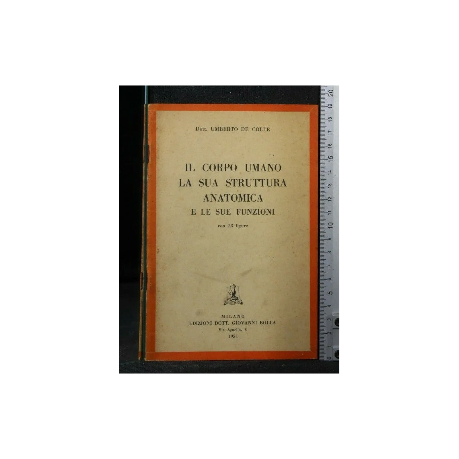 IL CORPO UMANO LA SUA STRUTTURA ANATOMICA E LE SUE FUNZIONI
