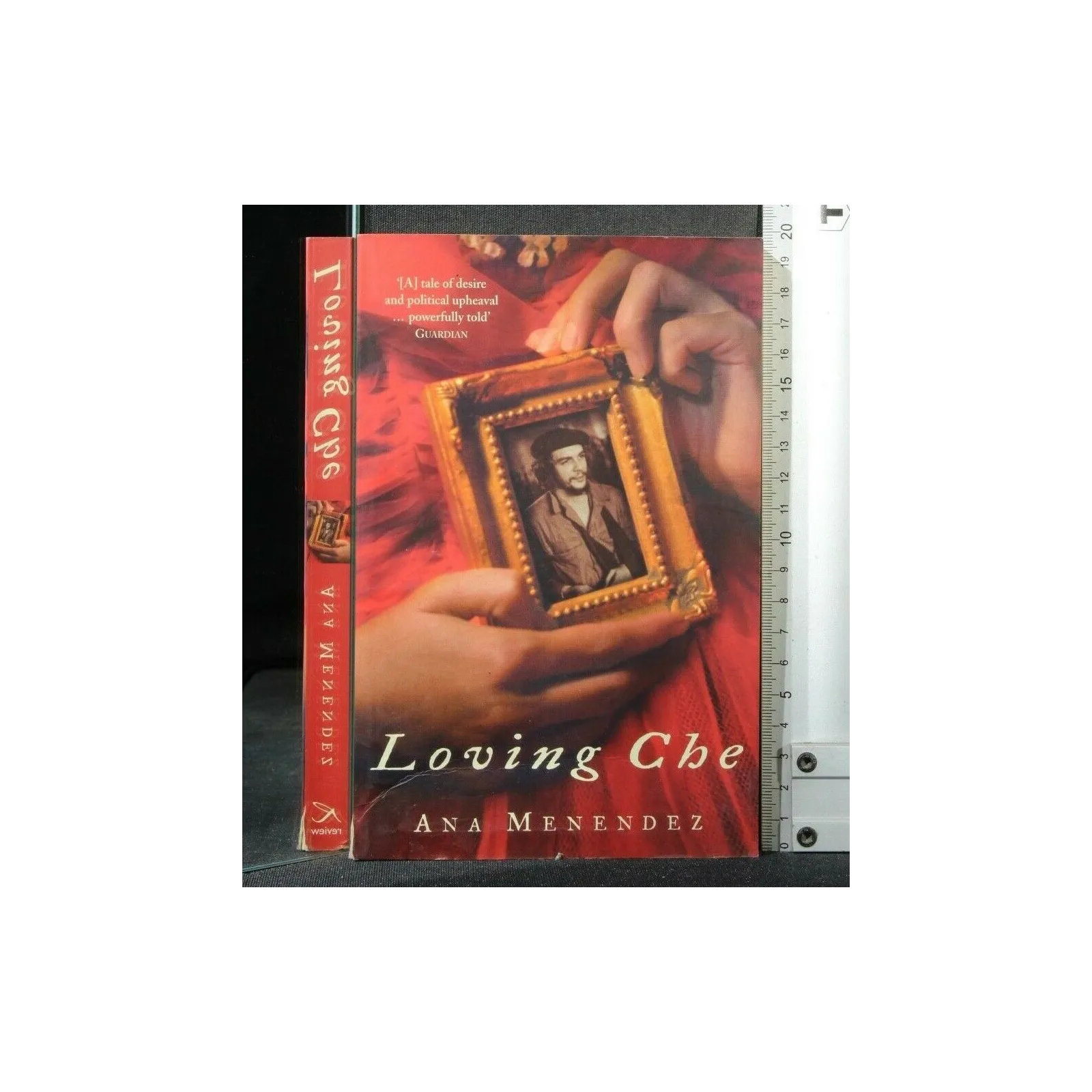 LOVING CHE. ANA MENENDEZ.