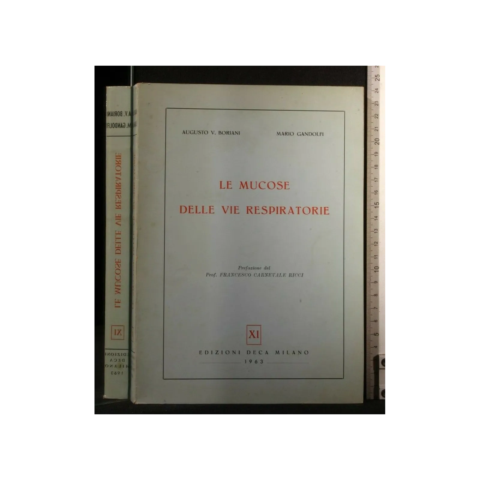 LE MUCOSE DELLE VIE RESPIRATORIE