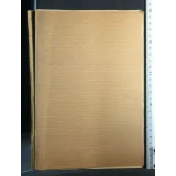 PARALISI BULBARI CONGENITE