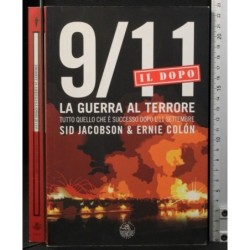 9/11. La guerra al terrotr. Il dopo