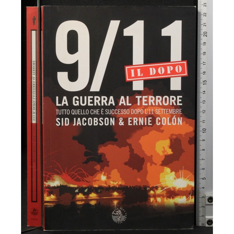 9/11. La guerra al terrotr. Il dopo