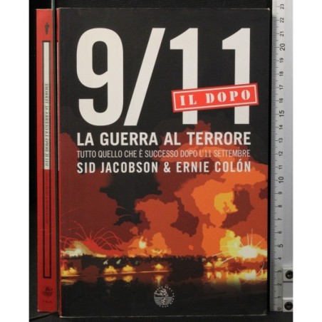 9/11. La guerra al terrotr. Il dopo