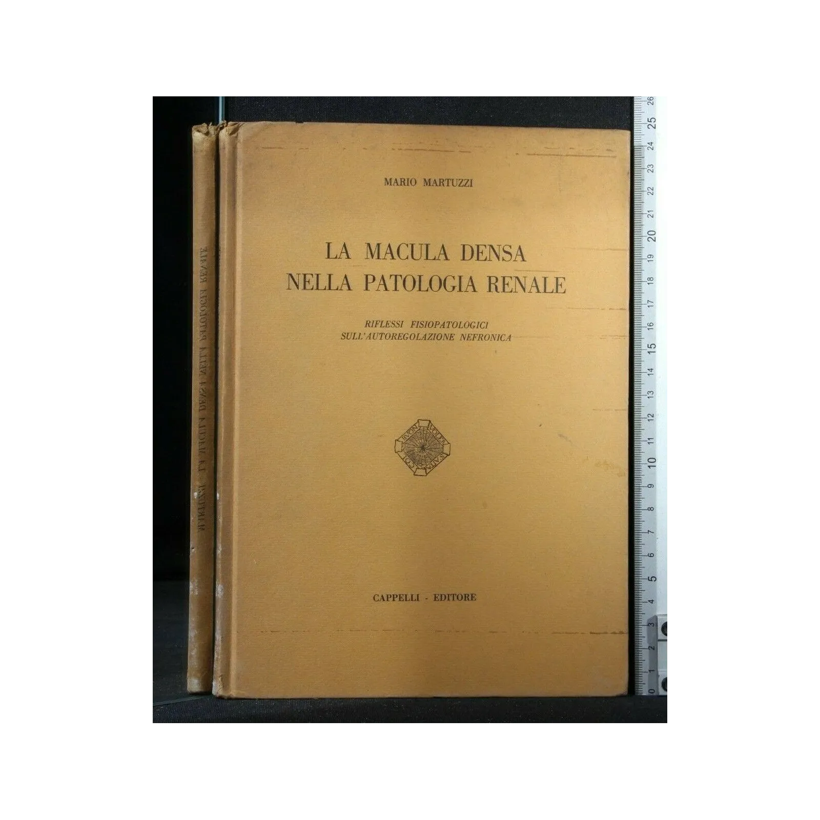 LA MACULA DENSA NELLA PATOLOGIA RENALE
