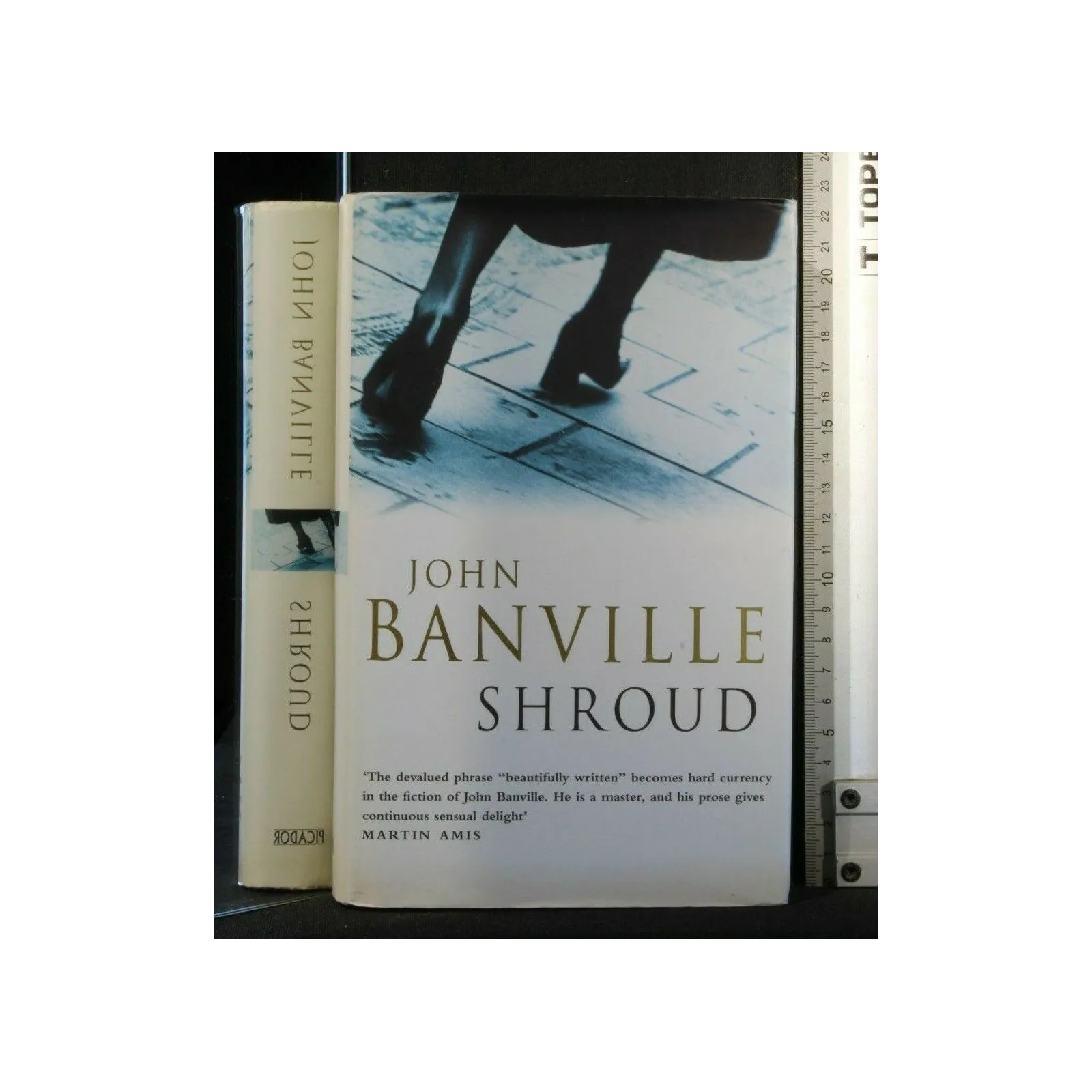 SHROUD. JOHN BANVILLE.