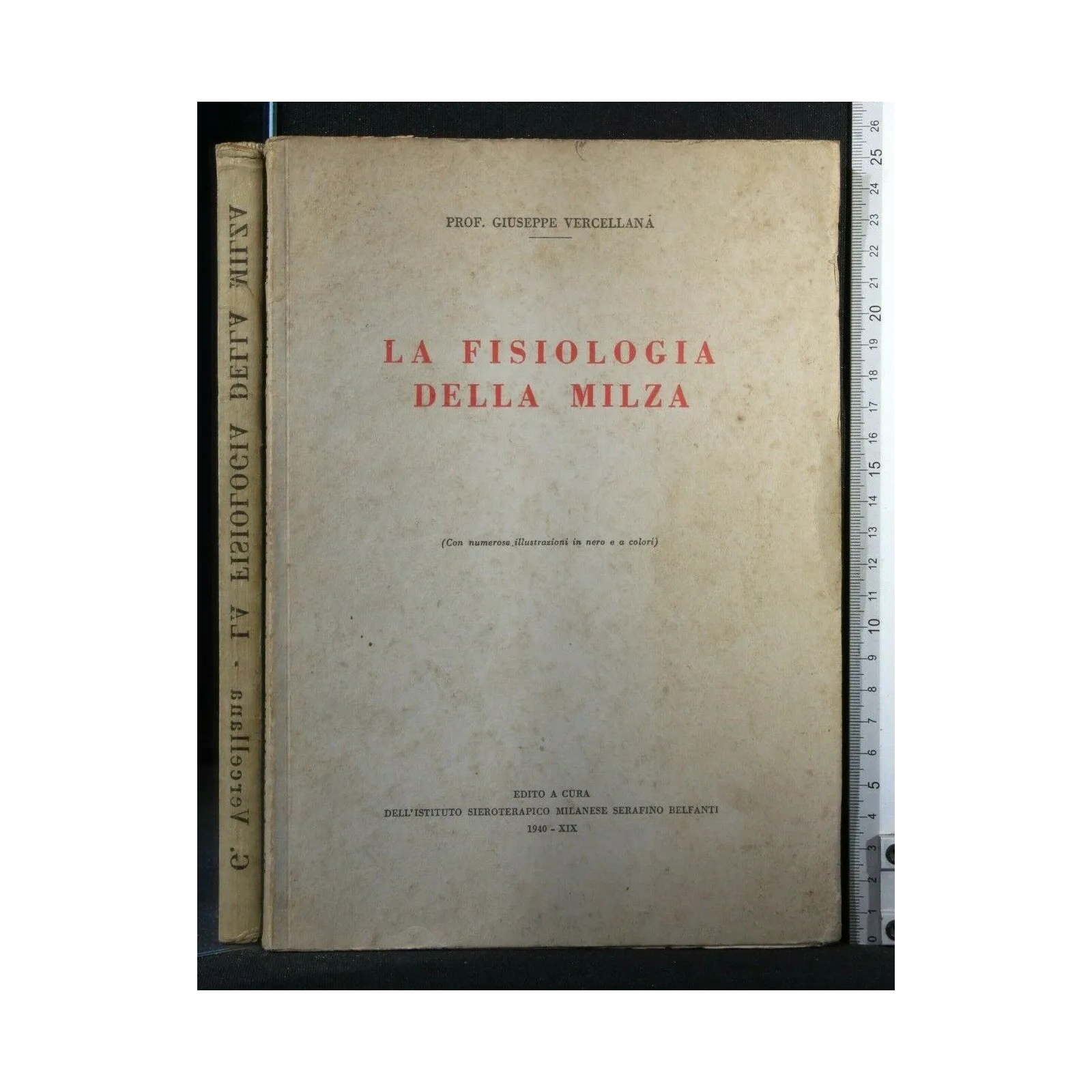 LA FISIOLOGIA DELLA MILZA