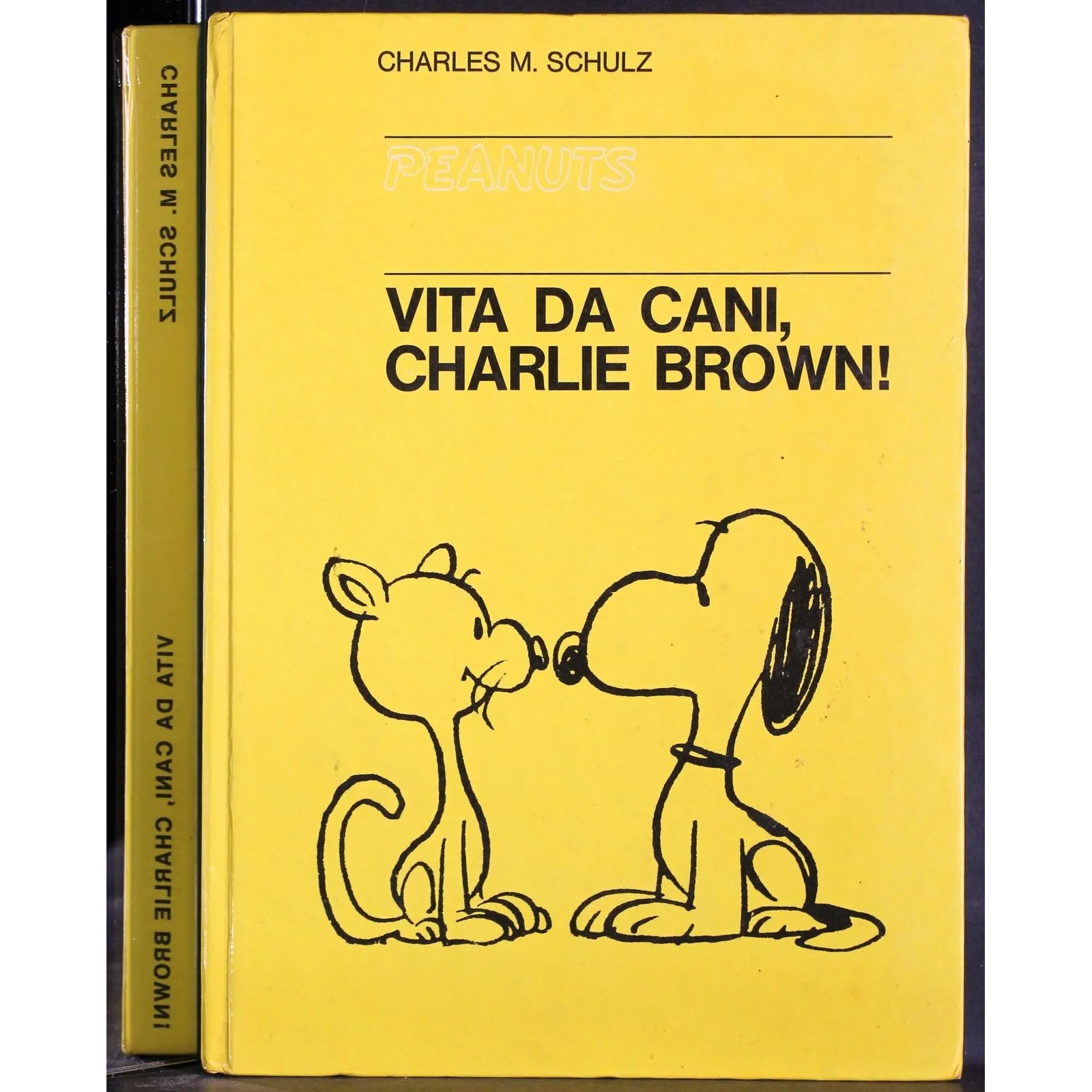 Vita da cani, charlie brown!