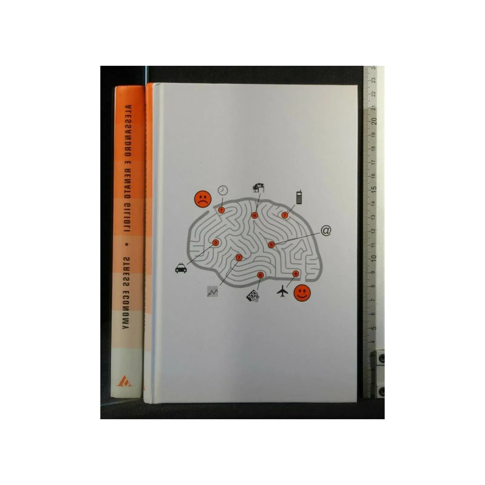 STRESS ECONOMY. ALESSANDRO E RENATO GILIOLI. MONDADORI.