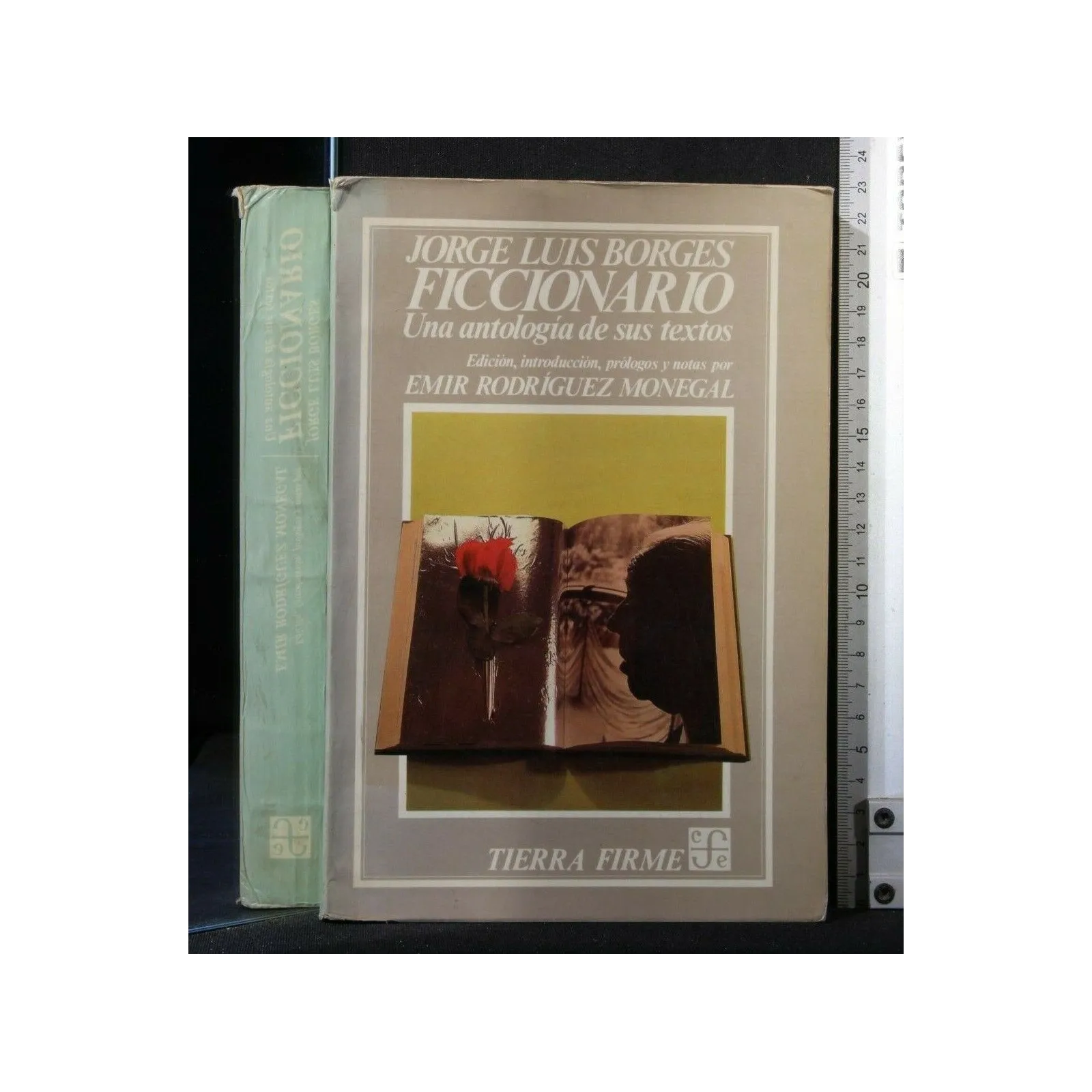 FICCIONARIO. UNA ANTOLOGIA DE SUS TEXTOS. JORGE LUIS BORGES.