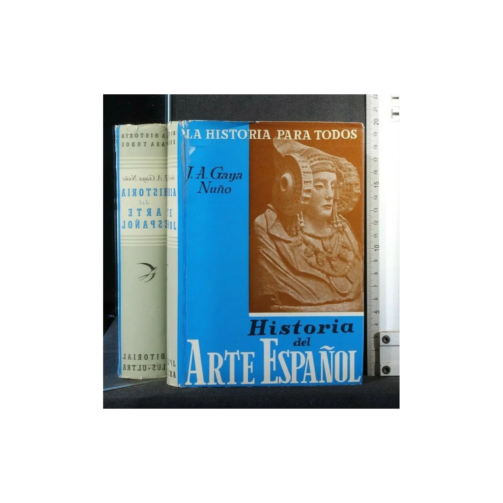 HISTORIA DEL ARTE ESPANOL