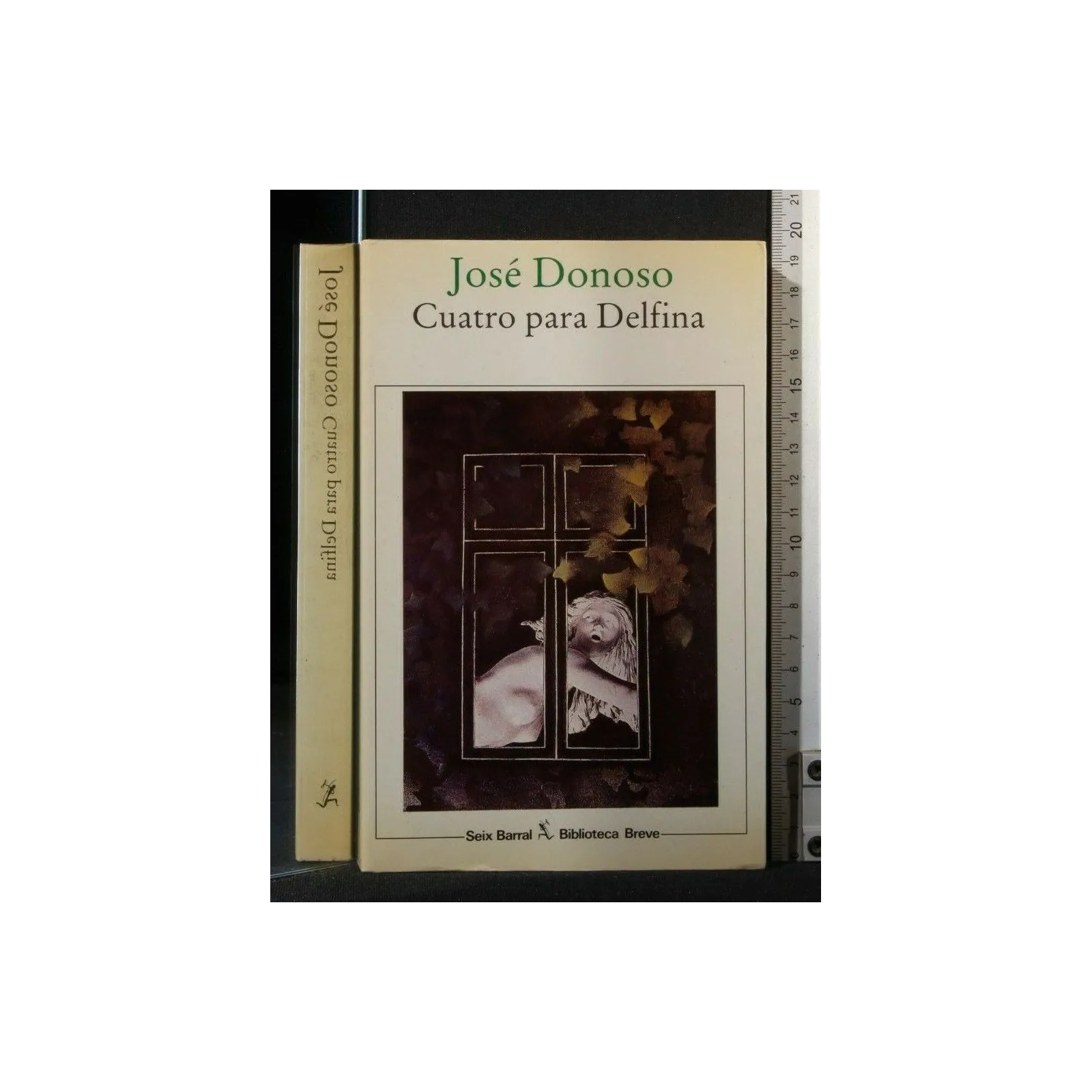 CUATRO PARA DELFINA