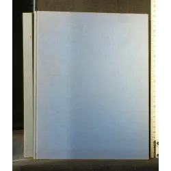 IL DISADATTAMENTO DELLE ADOLESCENTI TESI DI LAUREA DELLA FACOLTÀ