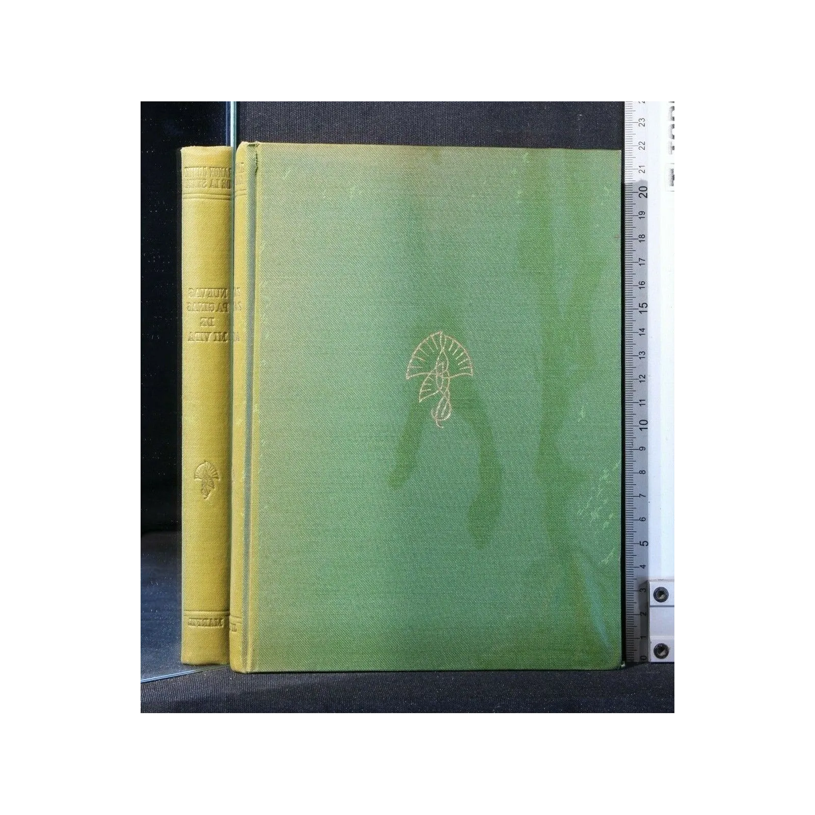 NUEVAS PAGINAS DE MI VIDA