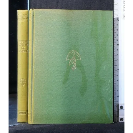 NUEVAS PAGINAS DE MI VIDA