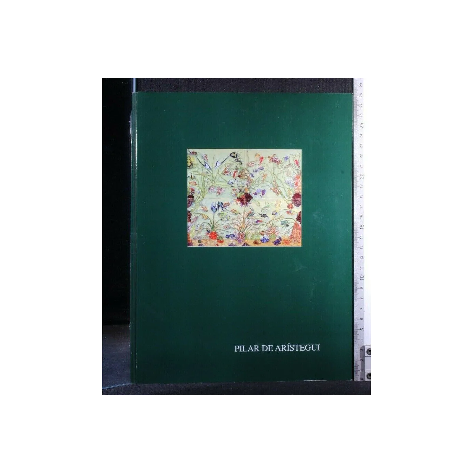 AGUA AIRE FUEGO TIERRA. PILAR DE ARISTEGUI. ESTUDIO PEIRONCELY.