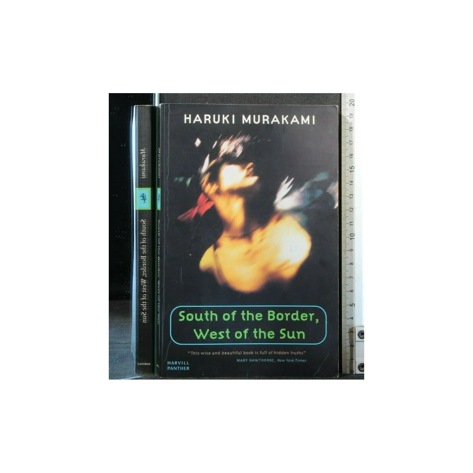 SOUTH OF THE BORDER, WEST OF THE SUN