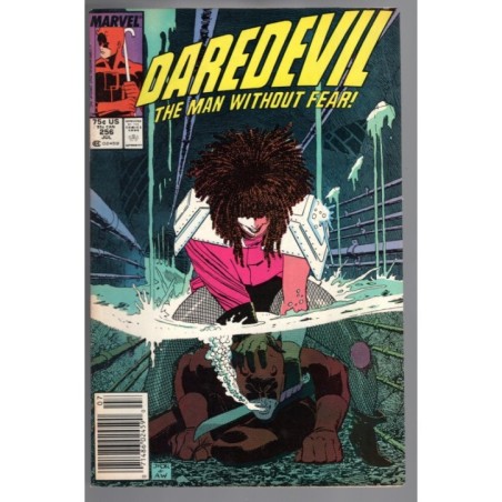 DAREDEVIL 256 - MARVEL 1988 - BAGGED BOARDED - VF (8.0)