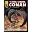 THE SAVAGE SWORD OF CONAN 21 - MARVEL 1976 - BAGGED BOARDED - VF (8.0)