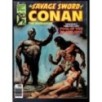 THE SAVAGE SWORD OF CONAN 22 - MARVEL 1976 - BAGGED BOARDED - VF (8.0)
