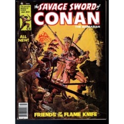 THE SAVAGE SWORD OF CONAN 31 - MARVEL 1977 - BAGGED BOARDED - VF (8.0)