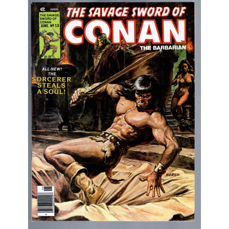 THE SAVAGE SWORD OF CONAN 53 - MARVEL 1979 - BAGGED BOARDED - NM-(9.2)