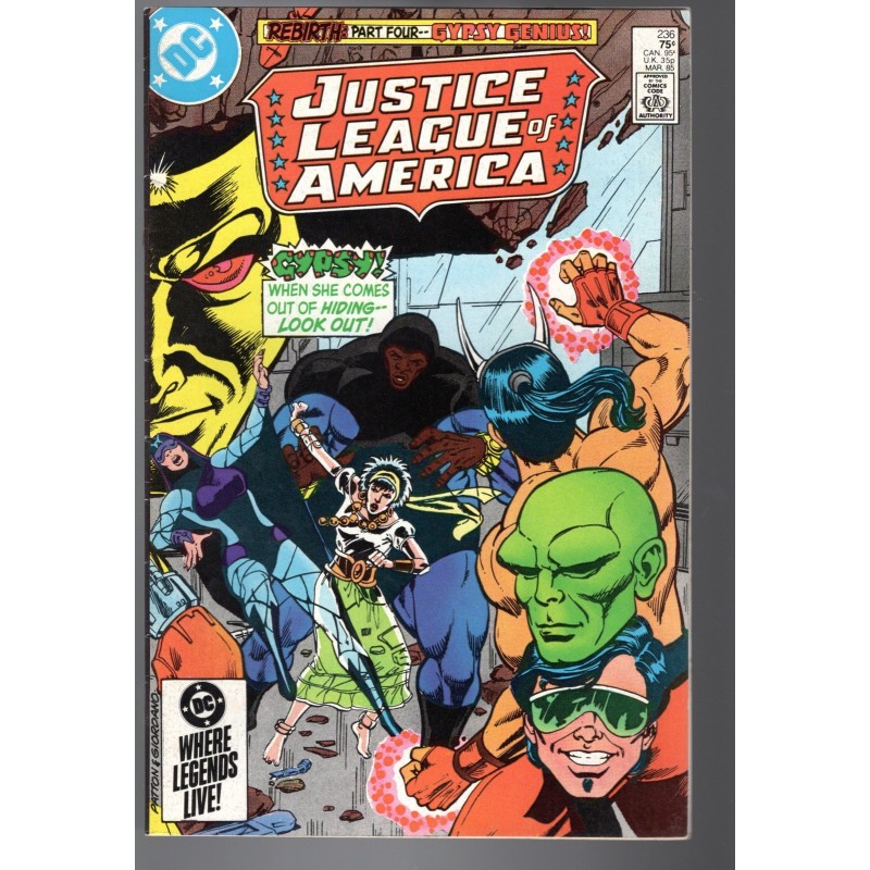 JUSTICE LEAGUE AMERICA 236 - DC 1980 - BAGGED BOARDED - VF-(7.5)