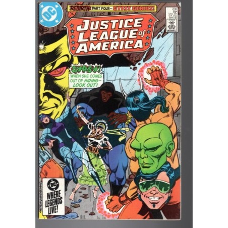 JUSTICE LEAGUE AMERICA 236 - DC 1980 - BAGGED BOARDED - VF-(7.5)