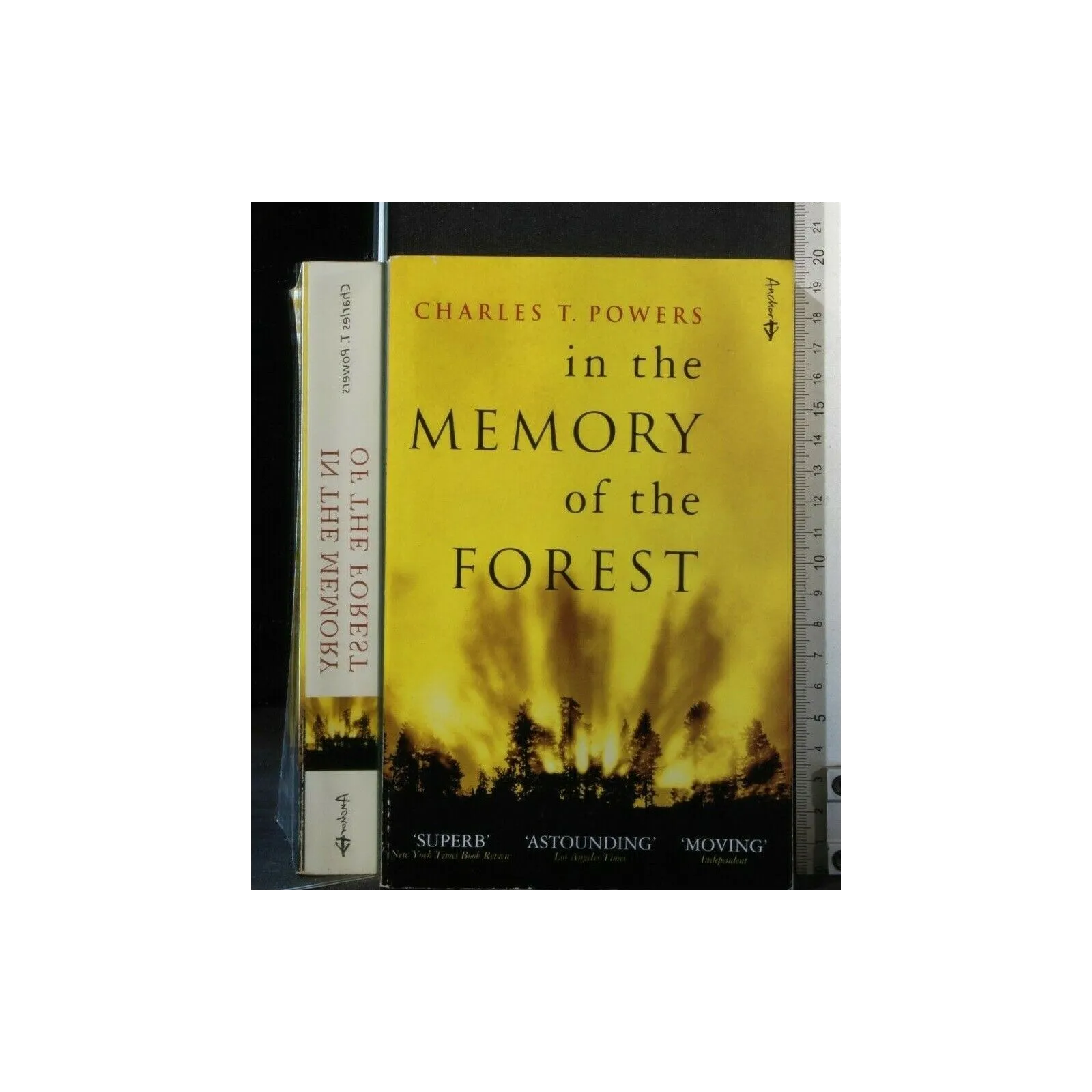 IN THE MEMORY OF THE FOREST