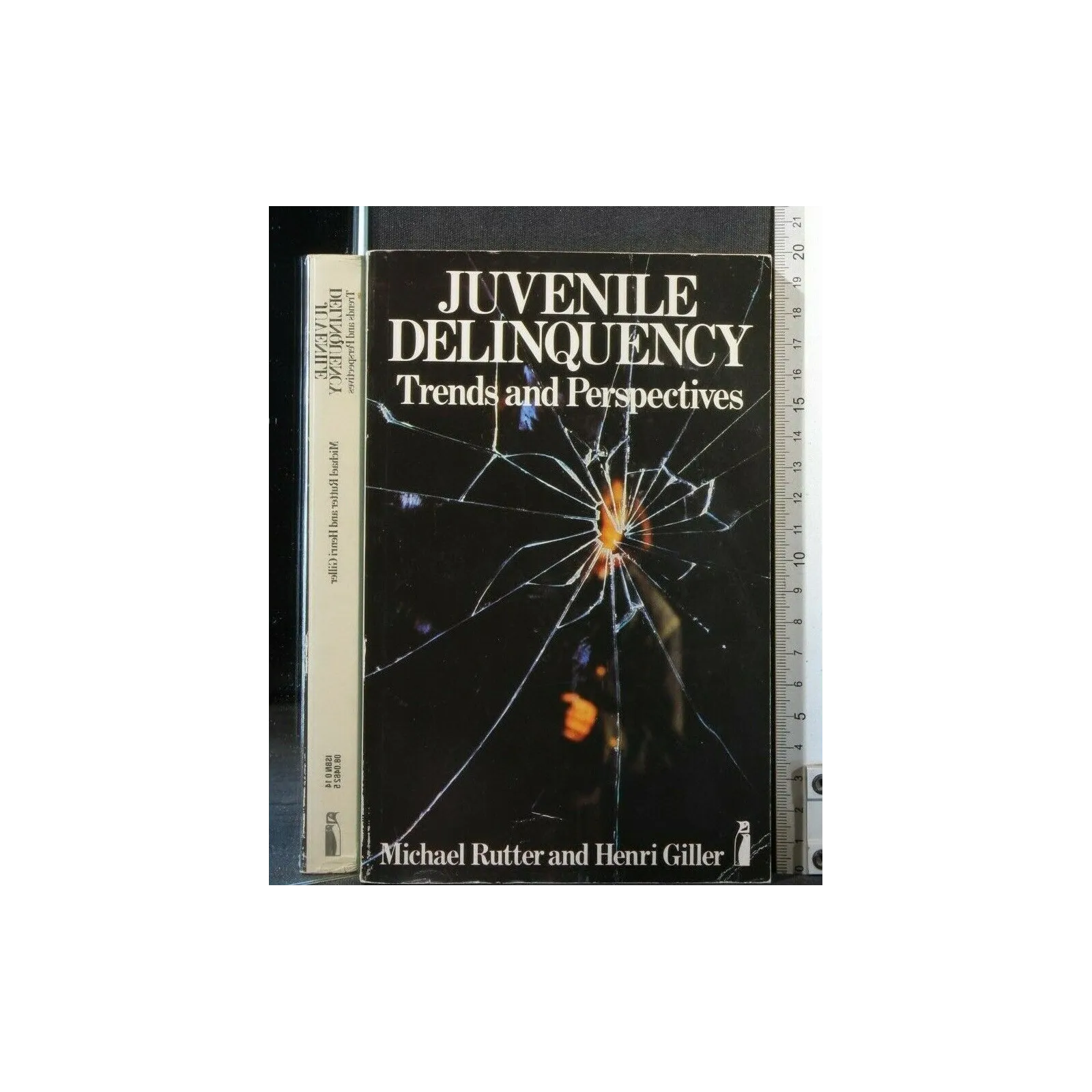JUVENILE DELINQUENCY TRENDS AND PERSPECTIVES