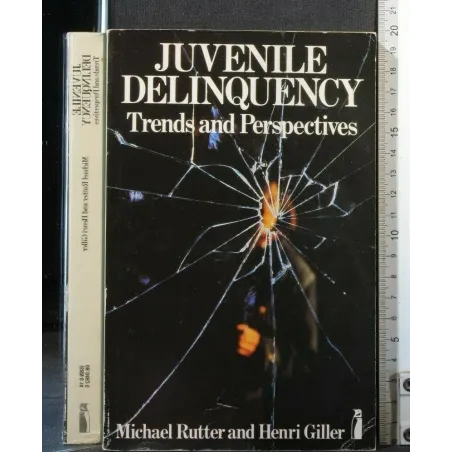 JUVENILE DELINQUENCY TRENDS AND PERSPECTIVES