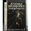 JUVENILE DELINQUENCY TRENDS AND PERSPECTIVES