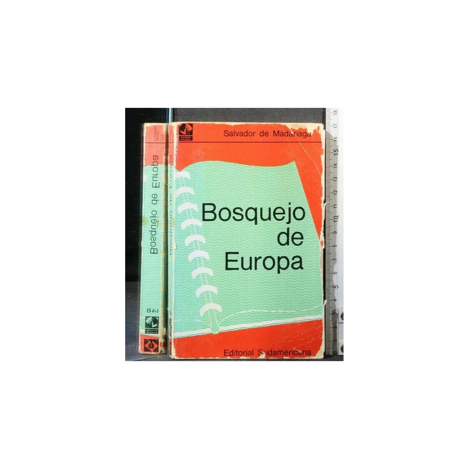 BOSQUEJO DE EUROPA