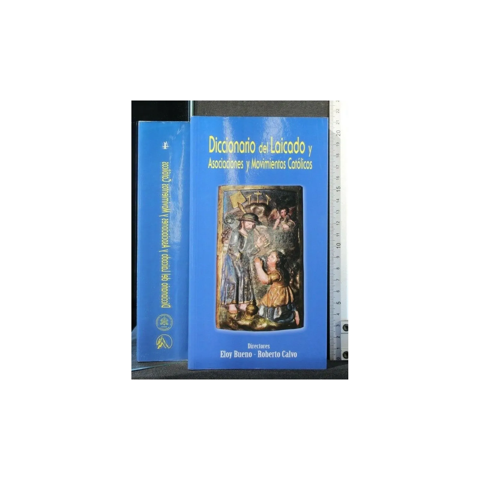 DICCIONARIO DEL LAICADO Y ASOCIACIONES Y MOVIMIENTOS CATOLICOS