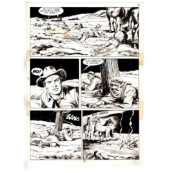 Tex - Fantasmi nel deserto - p.14 - Erio Nicolo' - Tavola Originale  - 1975