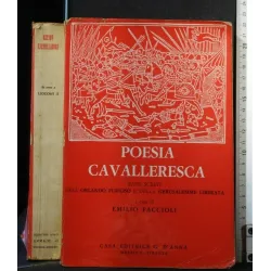 POESIA CAVALLERESCA