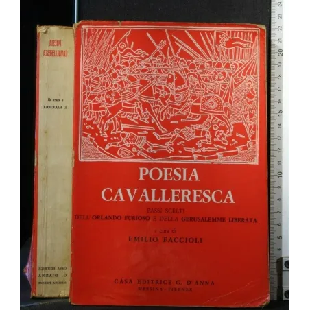 POESIA CAVALLERESCA
