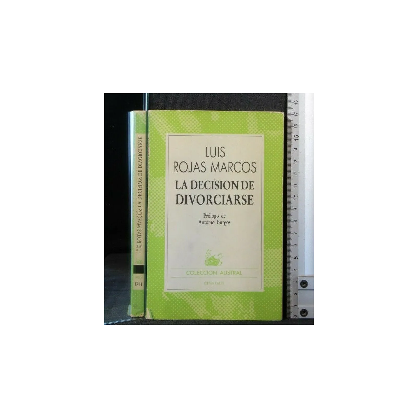 LA DECISION DE DIVORCIARSE