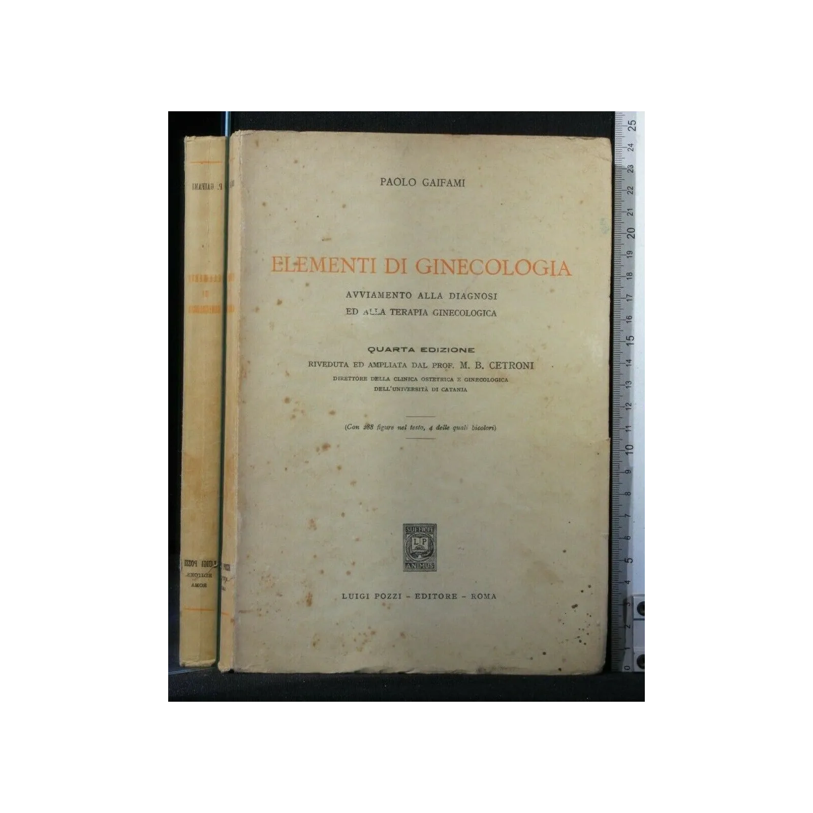 ELEMENTI DI GINECOLOGIA