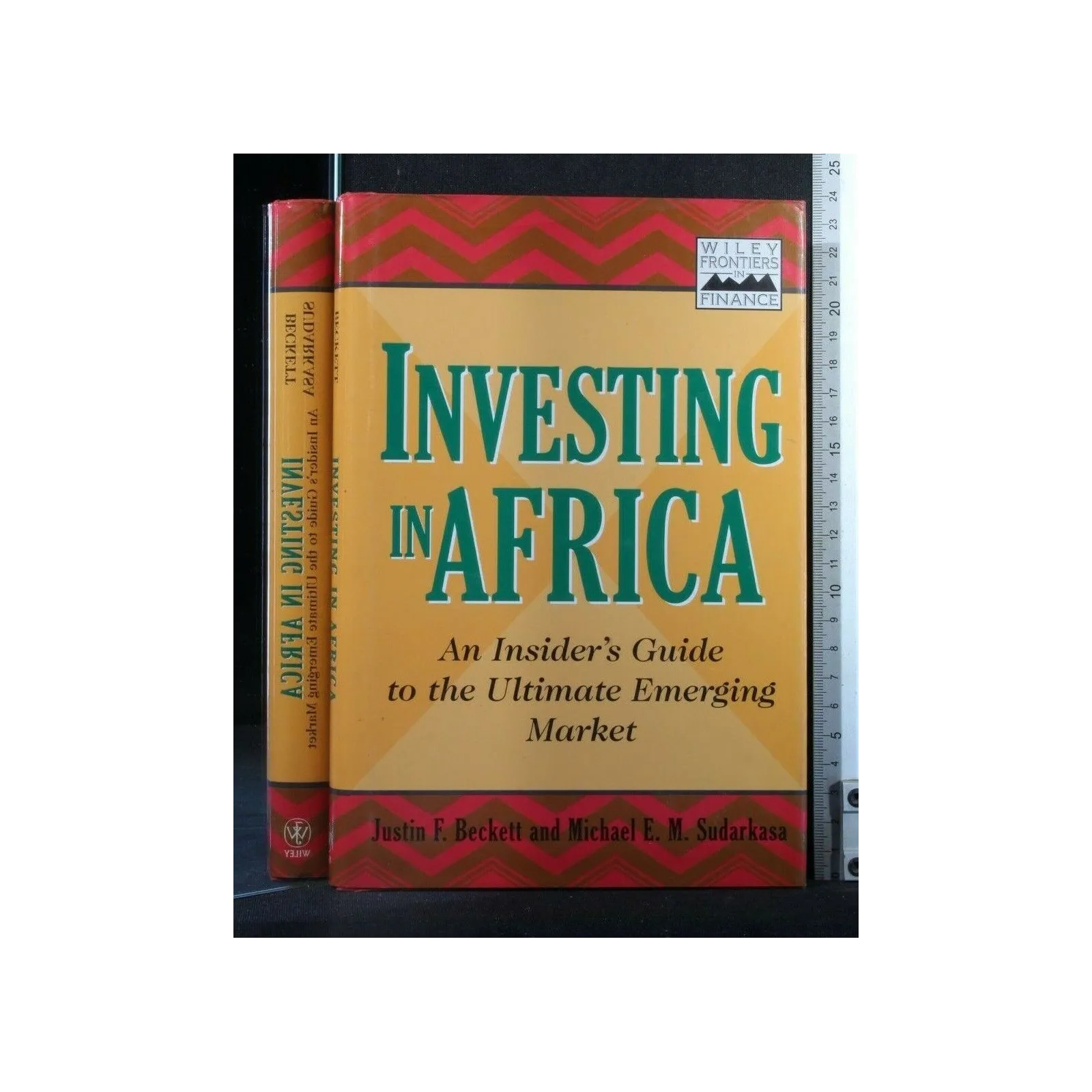 INVESTING IN AFRICA