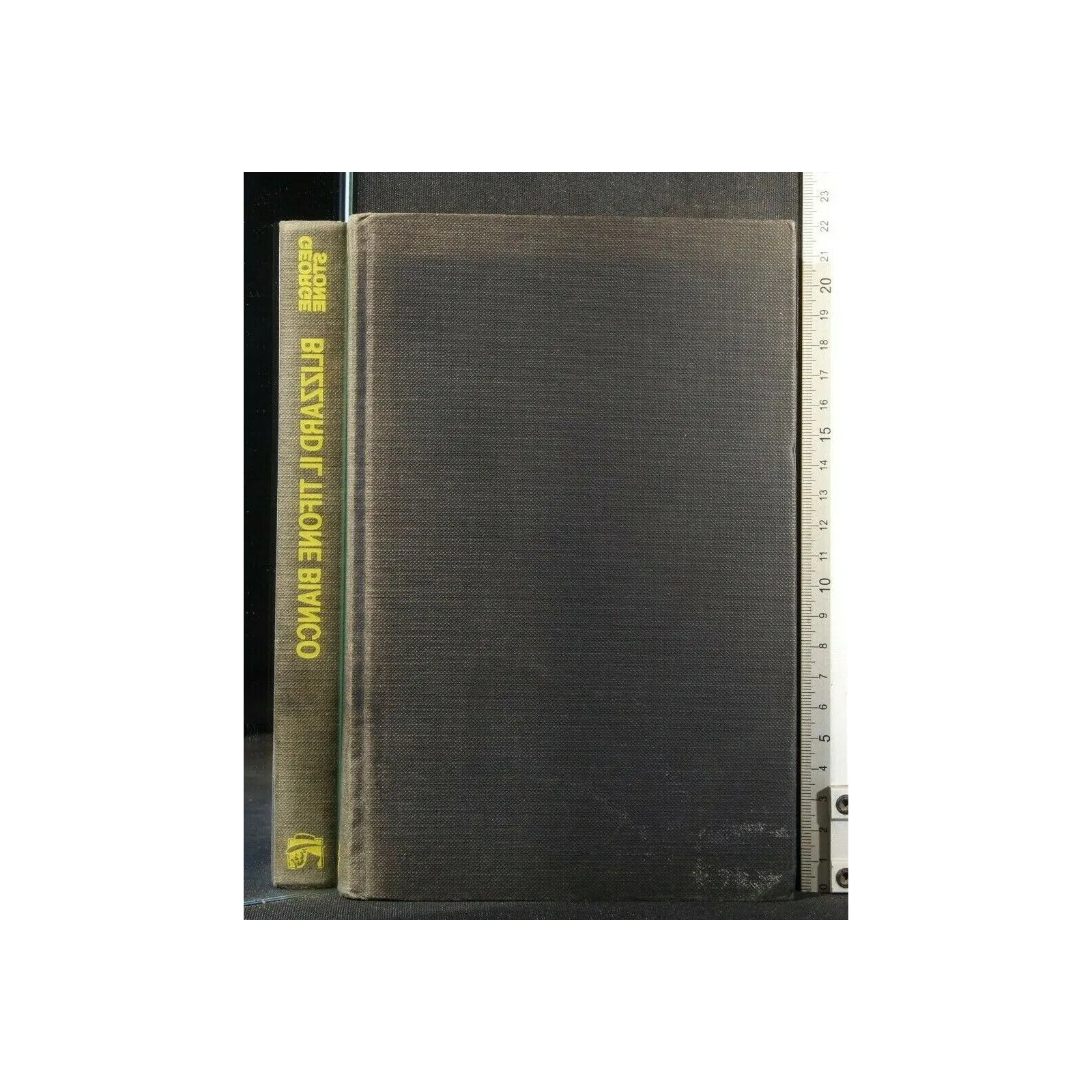 BLIZZARD, IL TIFONE BIANCO. GEORGE STONE.