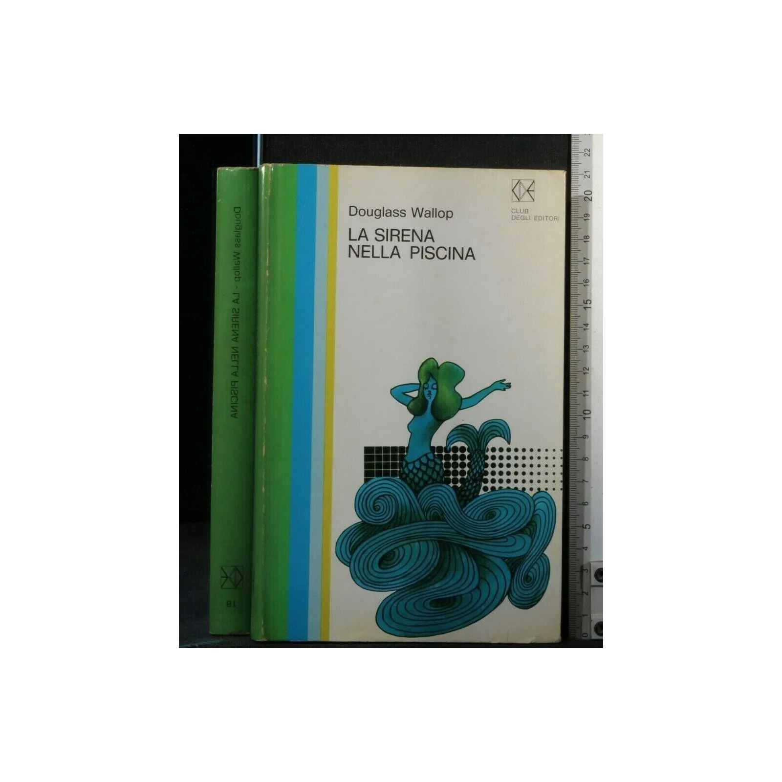 LA SIRENA NELLA PISCINA