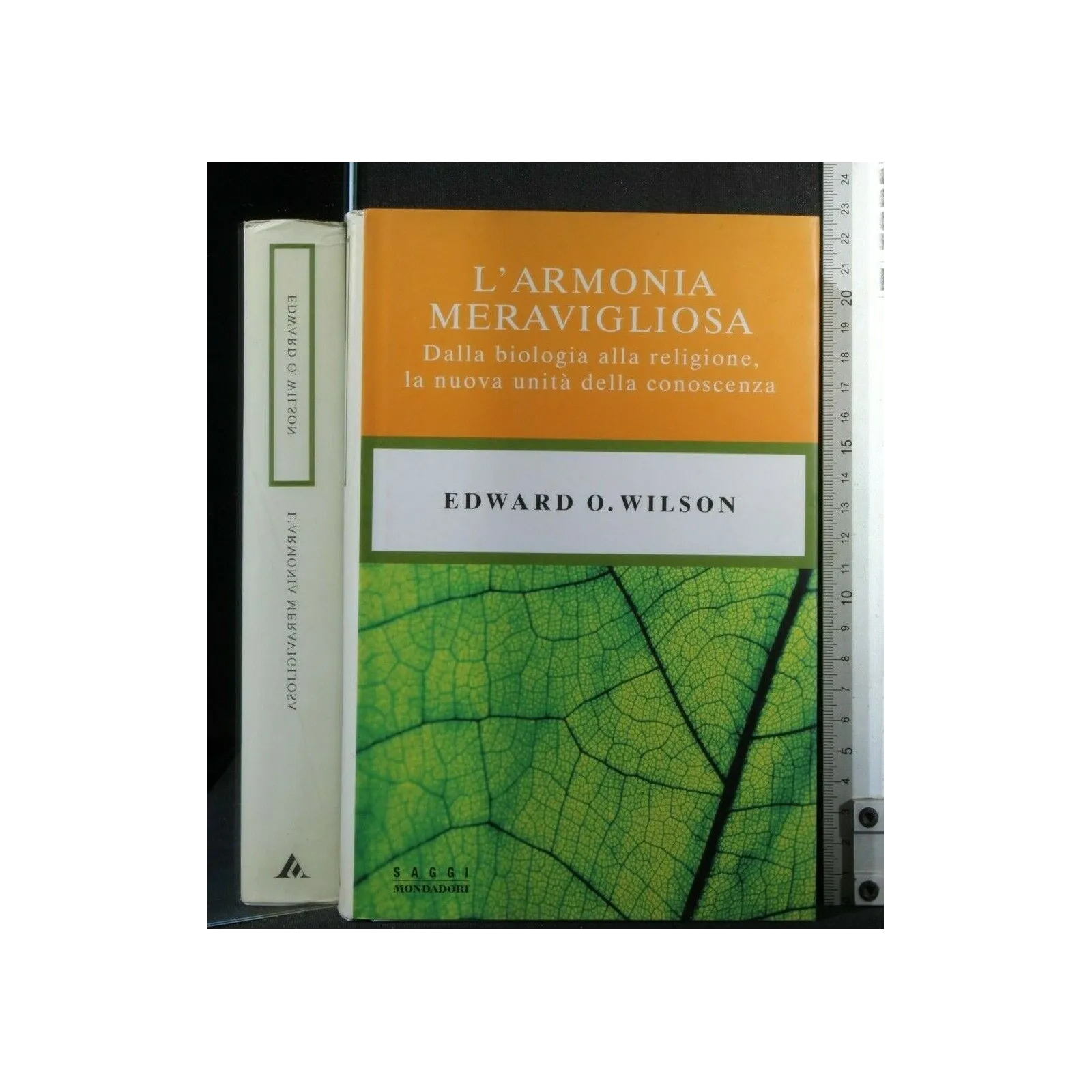 L'ARMONIA MERAVIGLIOSA