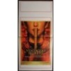 IL VENTAGLIO SEGRETO - Wang - Ji-hyun, Bingbing - LOCANDINA ORIGINALE 2011