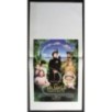 TATA MATILDA E IL GRANDE BOTTO - White -Gyllenhaal, Thompson-LOCANDINA ORIG 2010