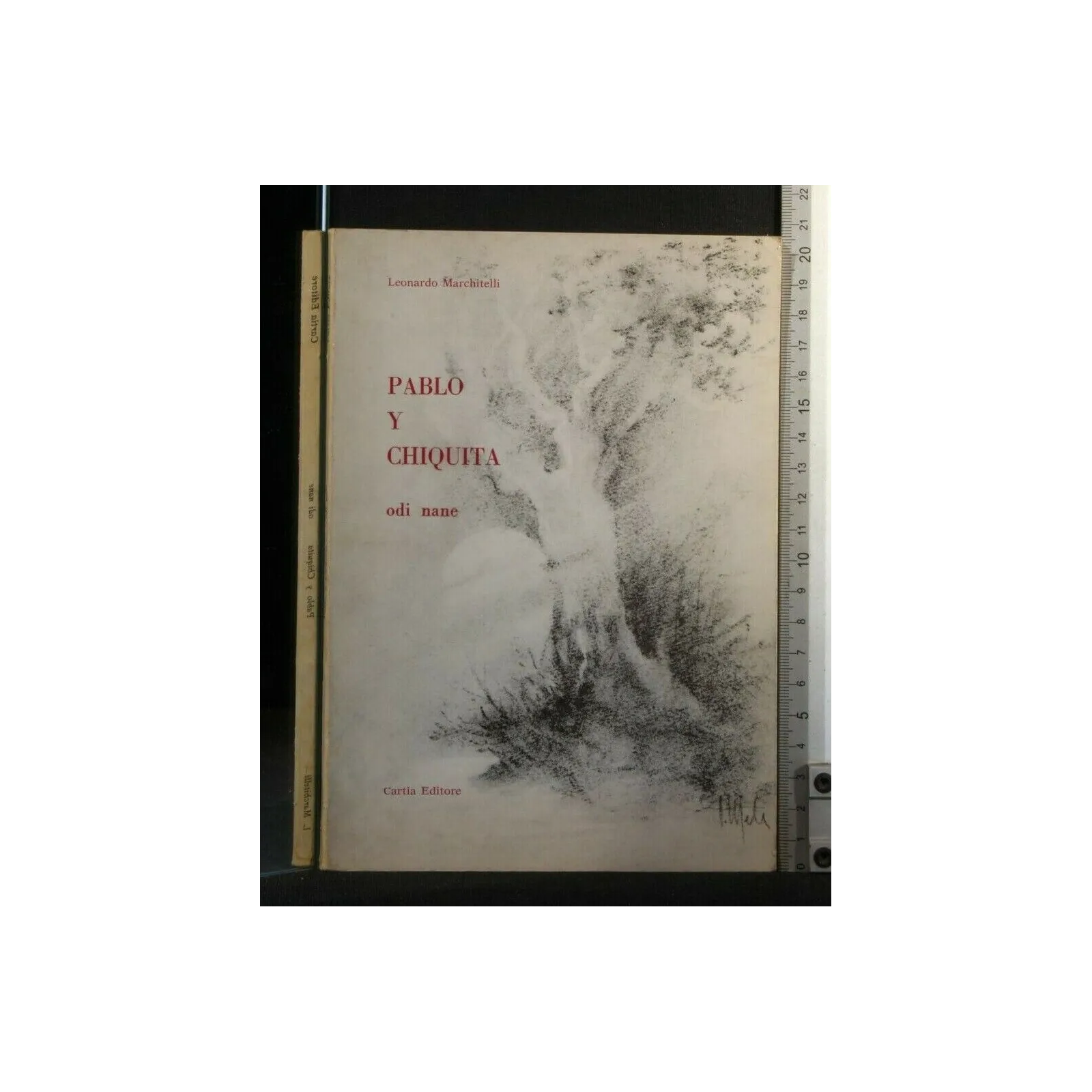 PABLO Y CHIQUITA ODI NANE