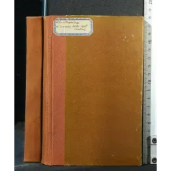 L'UOMO SOLO NEL VORTICE