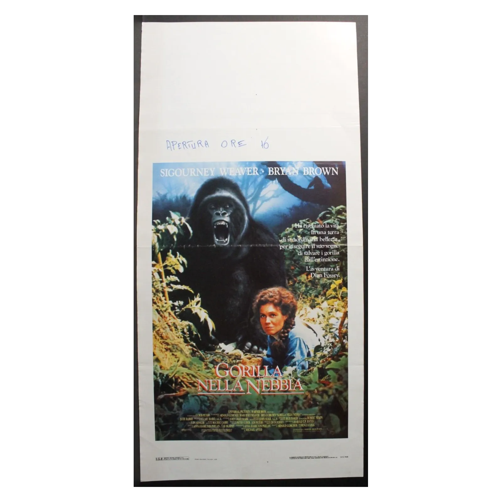 GUARDATO A VISTA - Miller - Ventura, Schneider - LOCANDINA ORIGINALE 1981