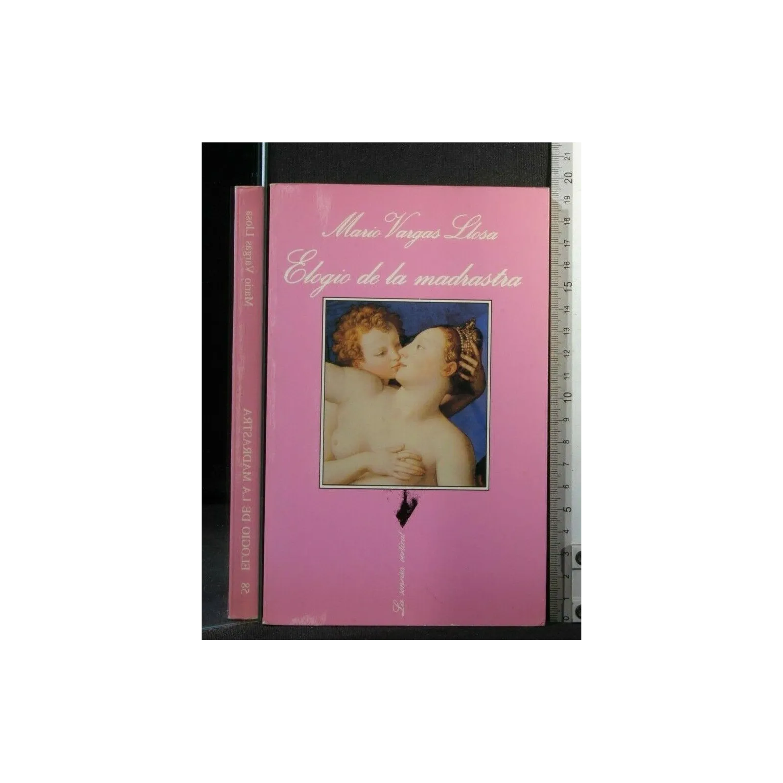 ELOGIO DE LA MADRASTRA